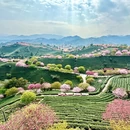 龙岩旅游 缩略图 3