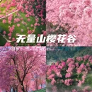 大理州旅游 缩略图 1
