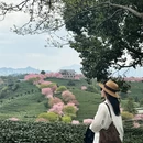 龙岩旅游 缩略图 13