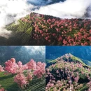 大理州旅游 缩略图 2