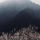 林芝旅游 缩略图 1