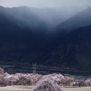 林芝旅游 缩略图 3
