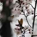 林芝旅游 缩略图 8