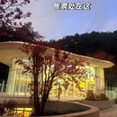 大理州旅游 缩略图 2