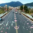 林芝旅游 缩略图 4