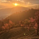 大理州旅游 缩略图 8