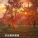大理州旅游 缩略图 4