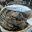 林芝旅游 缩略图 3