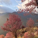大理州旅游 缩略图 11