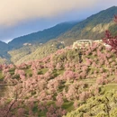 大理州旅游 缩略图 15