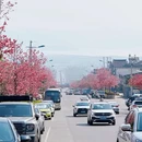 大理州旅游 缩略图 2