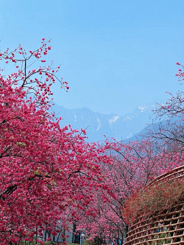 大理州旅游