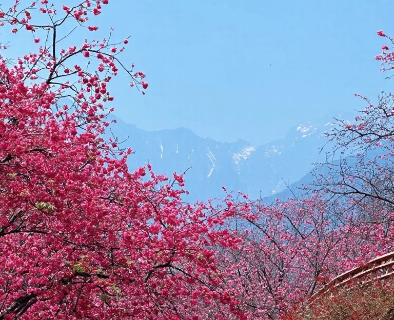 大理州旅游 1