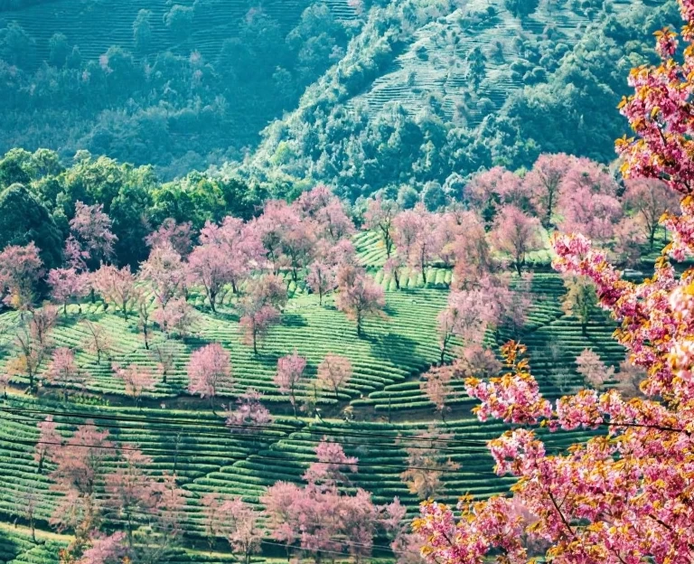大理州旅游 1