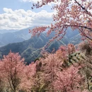 大理州旅游 缩略图 2