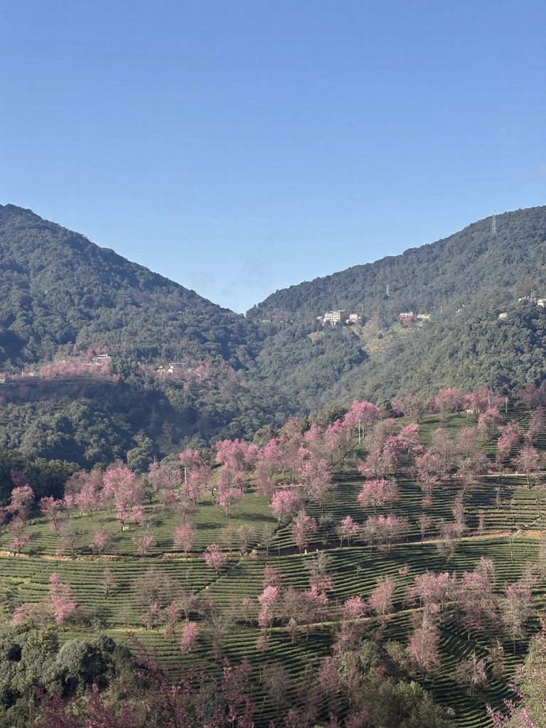大理州旅游