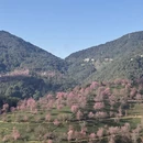 大理州旅游 缩略图 1
