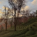 大理州旅游 缩略图 8