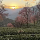 大理州旅游 缩略图 9