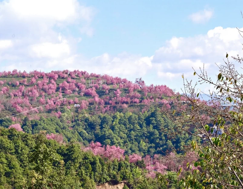 大理州旅游 1