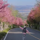 大理州旅游 缩略图 1