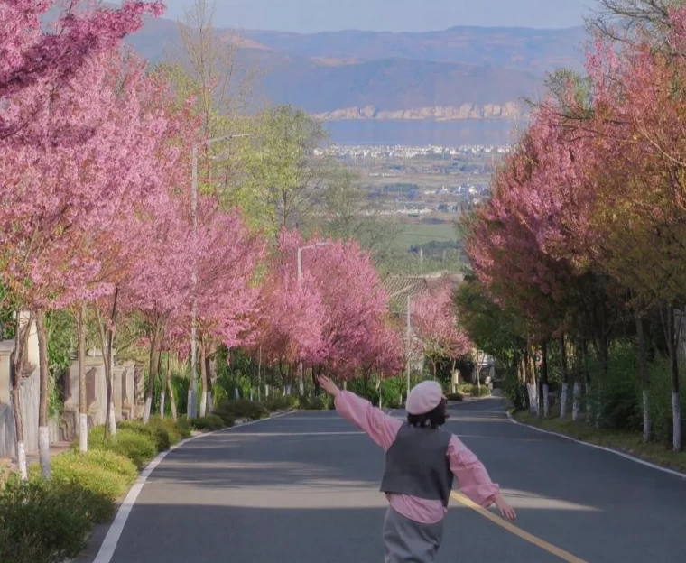 大理州旅游 1