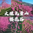 大理州旅游 缩略图 1