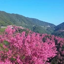 大理州旅游 缩略图 7