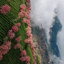 大理州旅游 缩略图 2