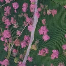 大理州旅游 缩略图 5