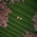 大理州旅游 缩略图 6