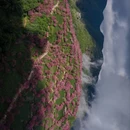 大理州旅游 缩略图 7