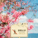 大理州旅游 缩略图 10