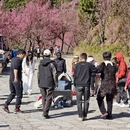 大理州旅游 缩略图 7
