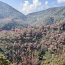 大理州旅游 缩略图 6