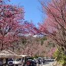大理州旅游 缩略图 8