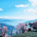 红河旅游 缩略图 2
