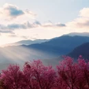 红河旅游 缩略图 4