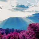 红河旅游 缩略图 7