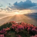 大理州旅游 缩略图 1