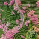 大理州旅游 缩略图 4