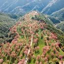 大理州旅游 缩略图 5