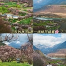 拉萨旅游 缩略图 4