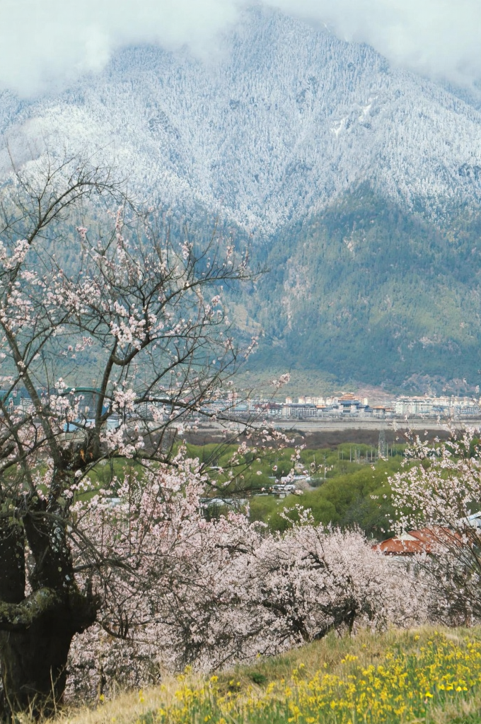 林芝旅游