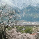 林芝旅游 缩略图 1