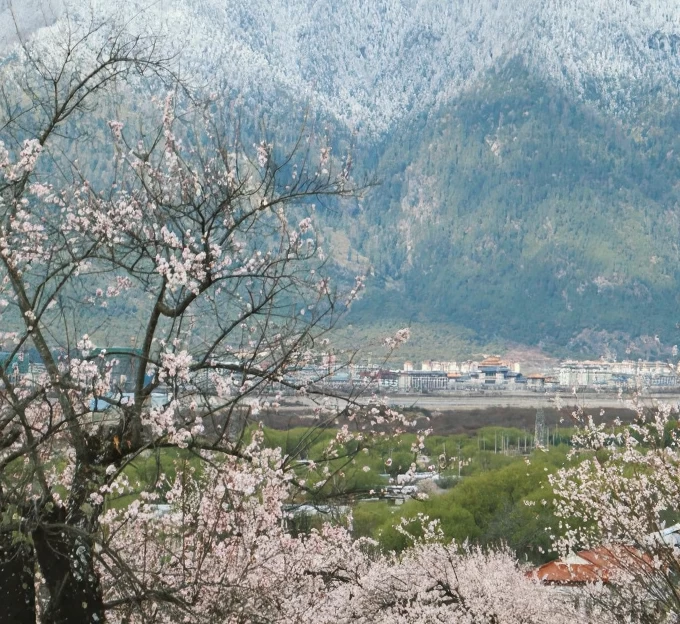 林芝旅游 1