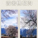 林芝旅游 缩略图 5