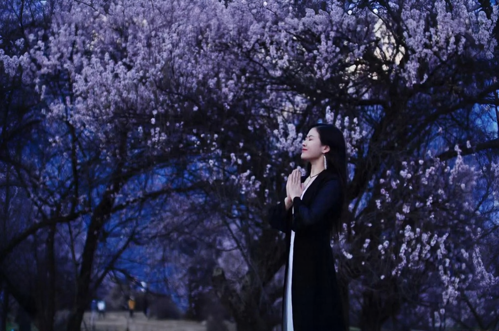 林芝旅游
