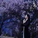 林芝旅游 缩略图 1