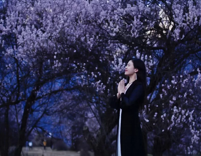 林芝旅游 1